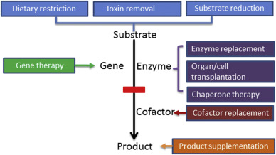 Inborn errors of metabolism