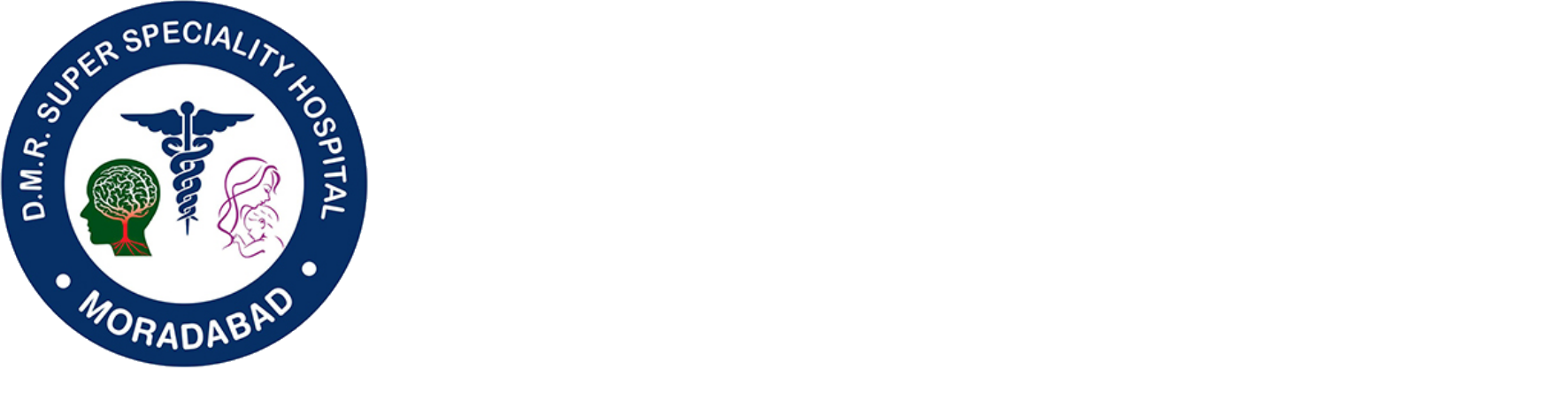 DMR Footer Logo